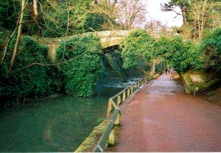 Jesmond Dene