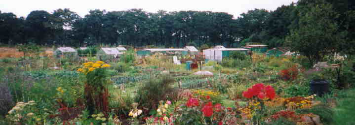 Highbury Allotments